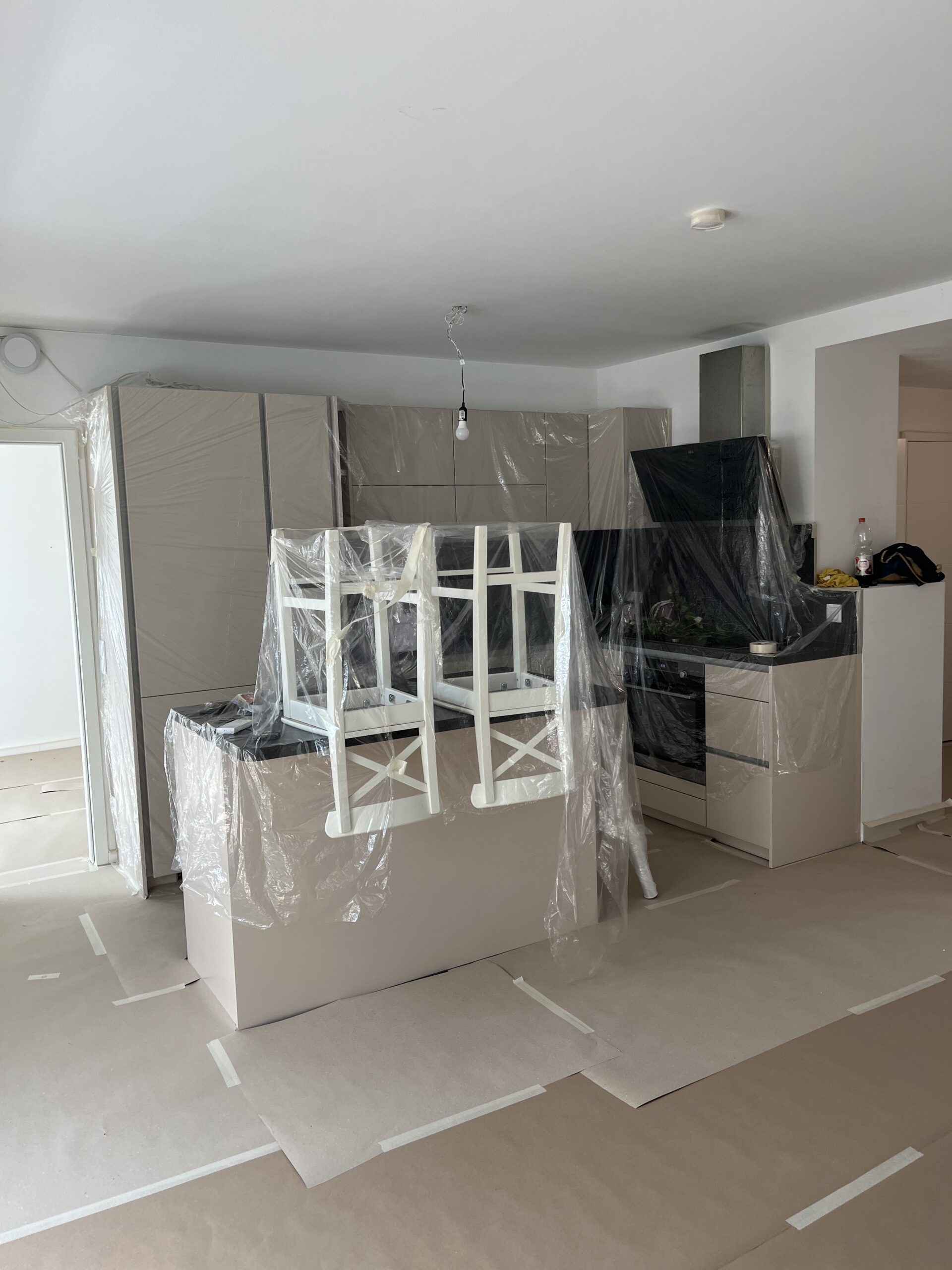 besenrein-professionelle-Malerei-wien